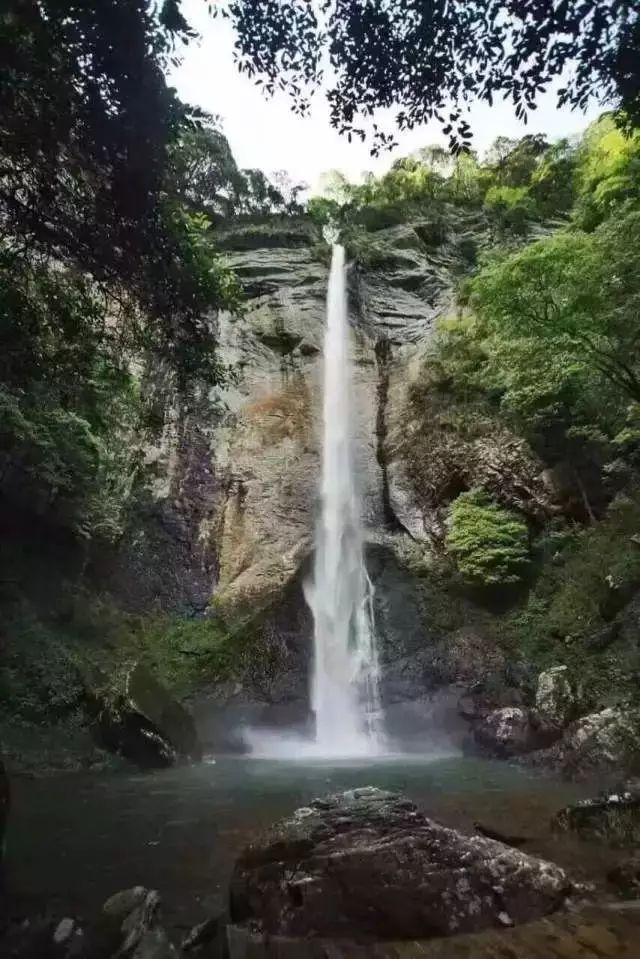 道奇蝰蛇找不同